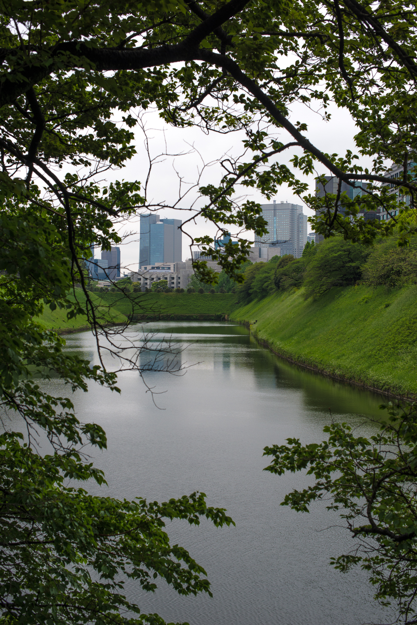 DSC_4519